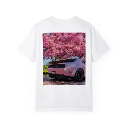 Pink Dodge Challenger Under Blooming Sakura Tree