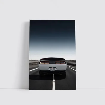 Dodge Challenger White Rear View Open Road