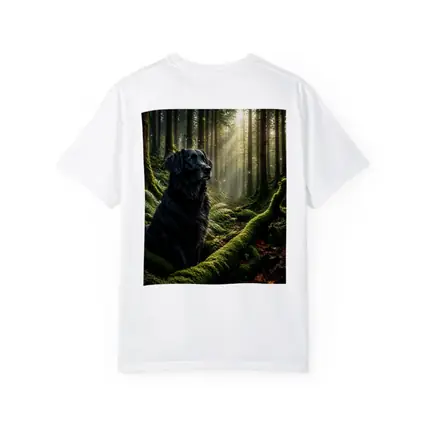 Black Labrador Sitting in Sunlit Forest