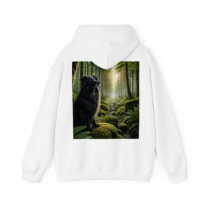 Black Border Collie Sitting in Sunlit Forest