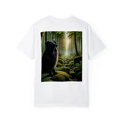 Black Border Collie Sitting in Sunlit Forest
