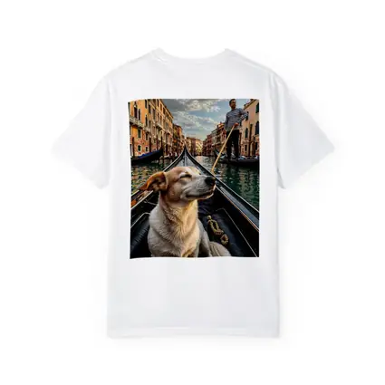 Dog Riding Gondola Venice Canal Italy