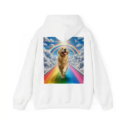 Golden Retriever Running Rainbow Bridge Sunny Sky