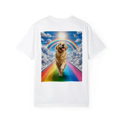 Golden Retriever Running Rainbow Bridge Sunny Sky