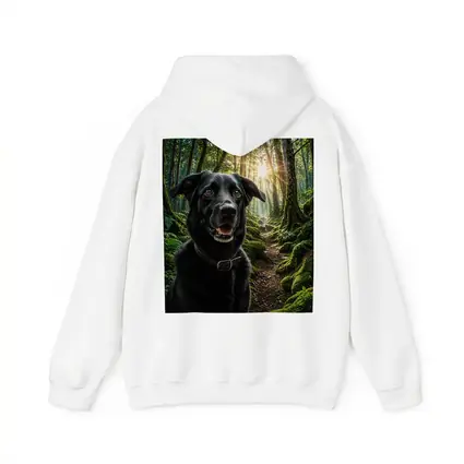 Black Labrador Smiling in Sunlit Forest