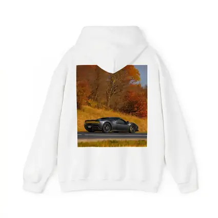 Ferrari 296 GTB Matte Gray Autumn Road