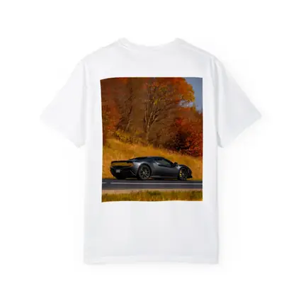 Ferrari 296 GTB Matte Gray Autumn Road