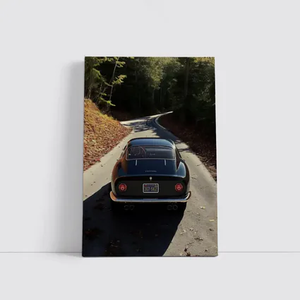 Ferrari 365 GTB4 on Forest Road
