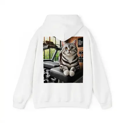 American Shorthair Cat Sitting in Gym