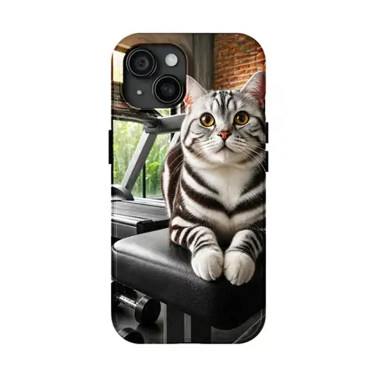 American Shorthair Cat Sitting in Gym
