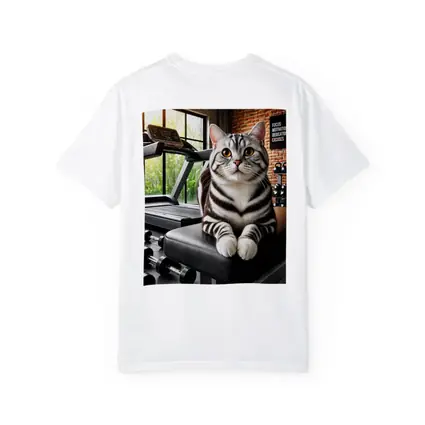 American Shorthair Cat Sitting in Gym