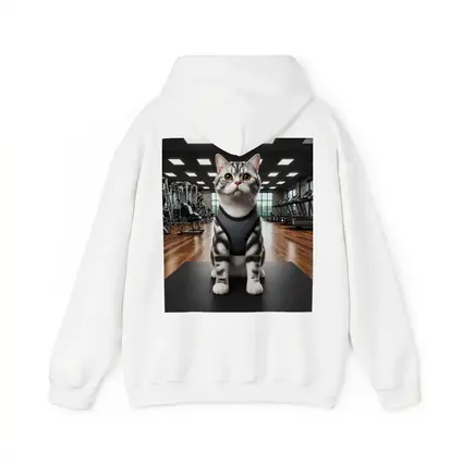 American Shorthair Cat Wearing Harness In Gym