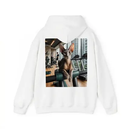 Oriental Shorthair Cat Relaxing in Gym