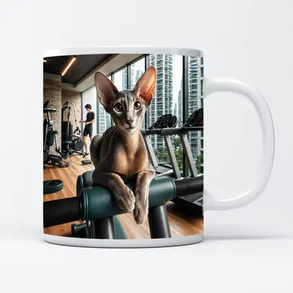 Oriental Shorthair Cat Relaxing in Gym