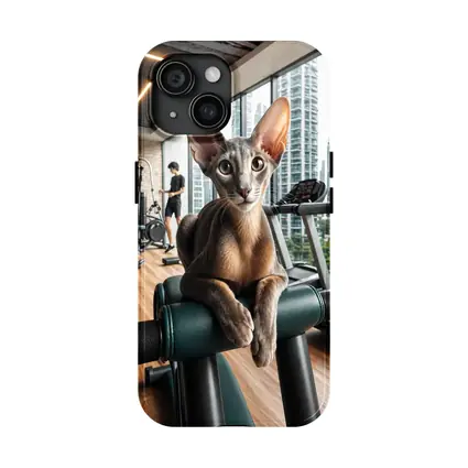 Oriental Shorthair Cat Relaxing in Gym