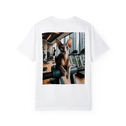 Oriental Shorthair Cat Relaxing in Gym
