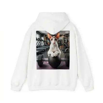 Oriental Shorthair Cat Lifting Weights Gym