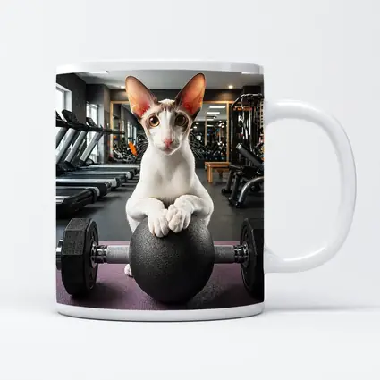 Oriental Shorthair Cat Lifting Weights Gym