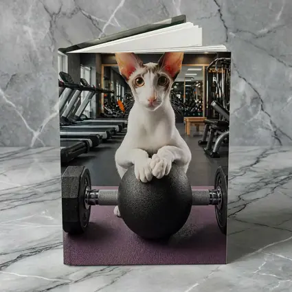 Oriental Shorthair Cat Lifting Weights Gym