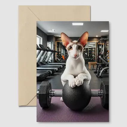 Oriental Shorthair Cat Lifting Weights Gym
