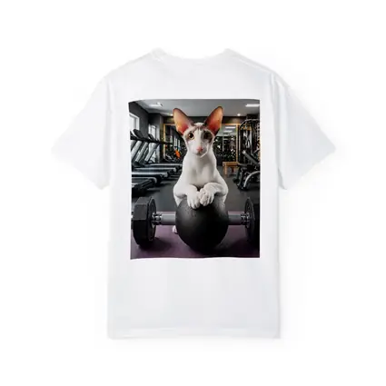 Oriental Shorthair Cat Lifting Weights Gym