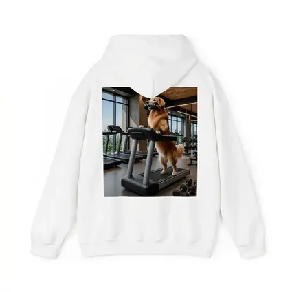Golden Retriever Working Out In Gym