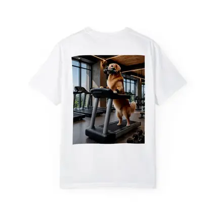 Golden Retriever Working Out In Gym