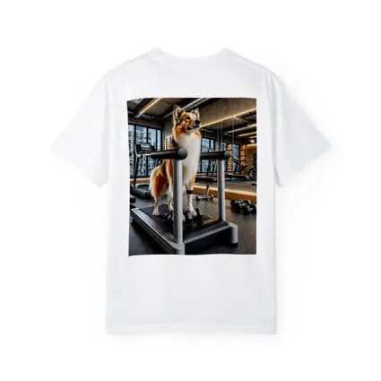 Collie Dog Standing on Gym Treadmill