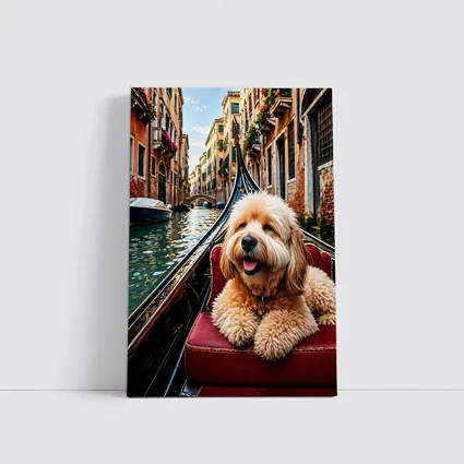 Goldendoodle Dog Riding Gondola Venice Canal