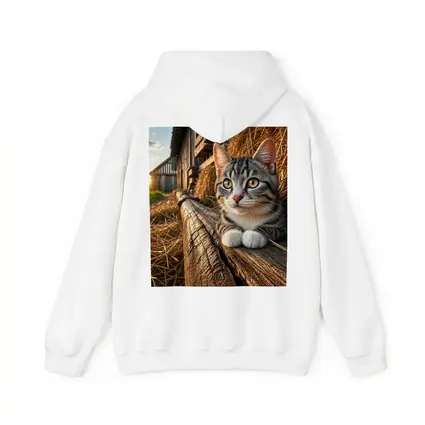 Tabby Cat Resting on Barn Wood