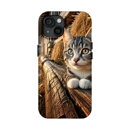 Tabby Cat Resting on Barn Wood