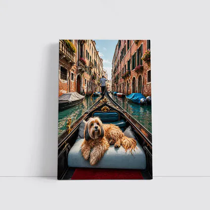 Fluffy Dog Riding Gondola Venice Canal