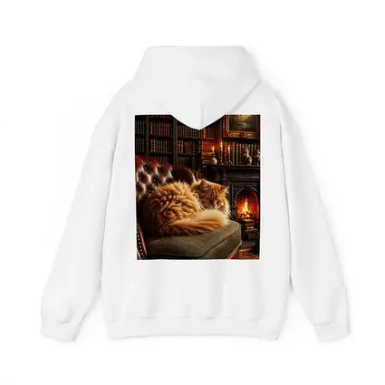 Fluffy Orange Cat Sleeping By Fireplace Library