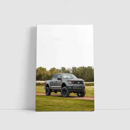 Ford F-Series Truck Lifted Gray Grassy Trail