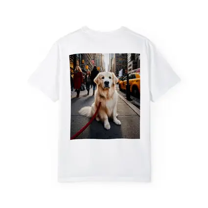 Golden Retriever Sitting on New York City Street