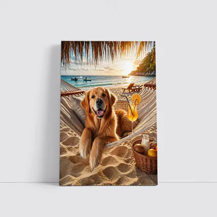 Golden Retriever Relaxing Beach Hammock Sunset