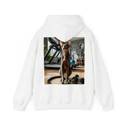 Oriental Shorthair Cat in Home Gym