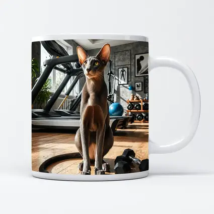 Oriental Shorthair Cat in Home Gym