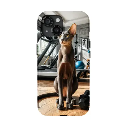 Oriental Shorthair Cat in Home Gym