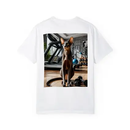 Oriental Shorthair Cat in Home Gym