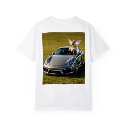 Porsche Cayman Silver Fairy Girl Green Field