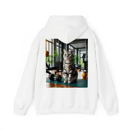 American Shorthair Cat In Modern Gym
