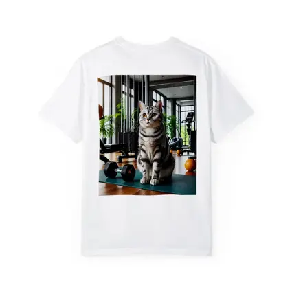 American Shorthair Cat In Modern Gym