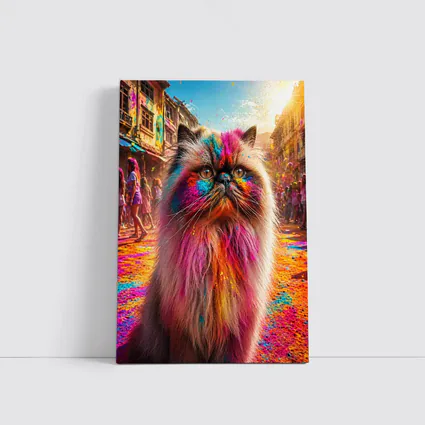 Himalayan Cat Covered in Holi Festival Colors