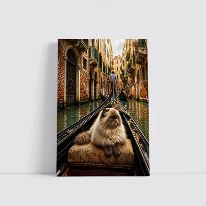 Himalayan Cat Riding Gondola Venice Canal