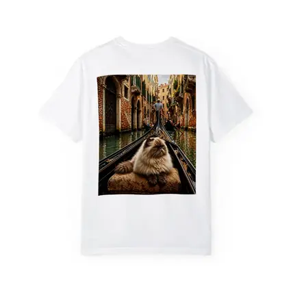 Himalayan Cat Riding Gondola Venice Canal