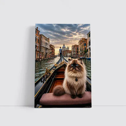 Himalayan Cat on Venice Gondola Canal