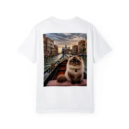 Himalayan Cat on Venice Gondola Canal