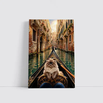 Himalayan Cat Riding Gondola Venice Canal