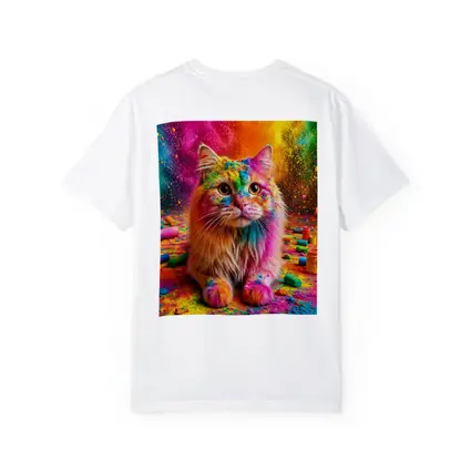 Fluffy Cat Covered In Colorful Holi Powder